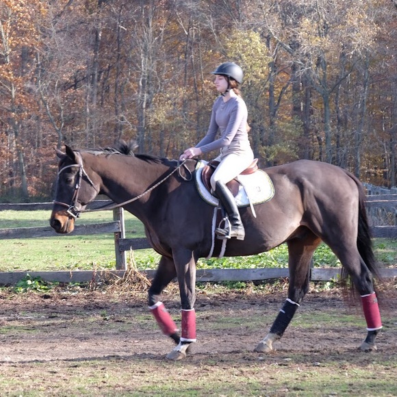 Meet your Posher, Ava - Picture 1 of 1